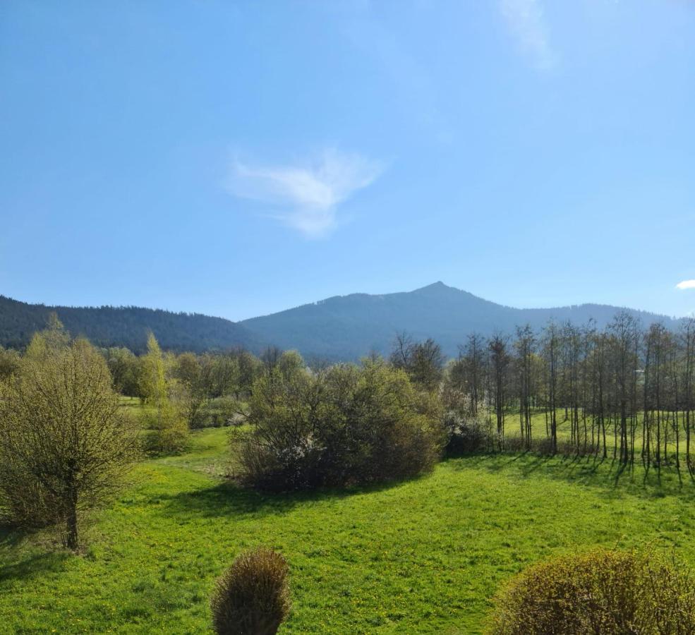 Ferienwohnung Hoamat Schmalzreich Andrea Lam Esterno foto